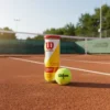 Pelotas de tenis Wilson tubo de 3 unidades Padel
