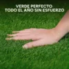 Césped Sintético Pasto Artificial Exterior 20 M2 Decoración
