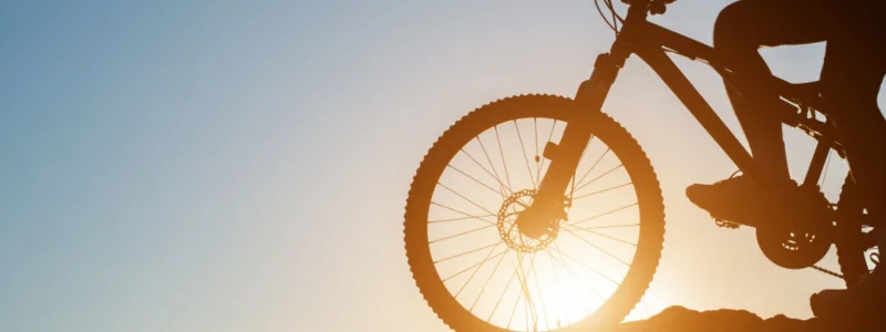 Categoría Bicicletas 
